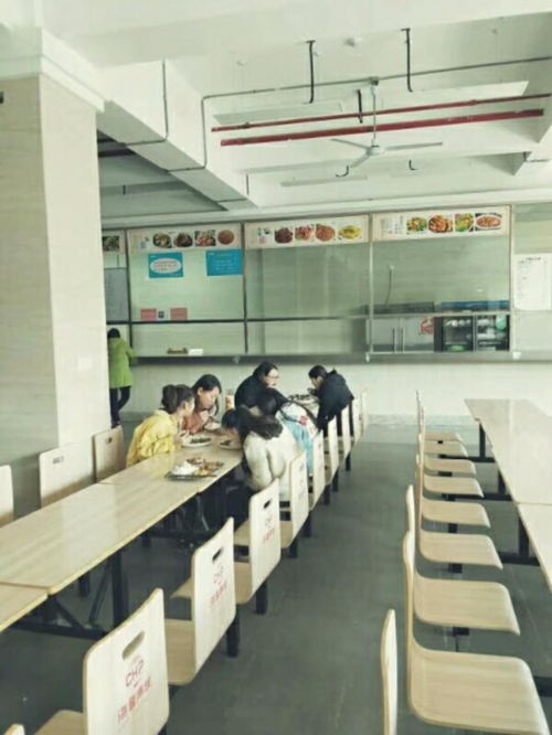 包食宿招移動客服 信息技術(shù)咨詢服務(wù)，打造專業(yè)團(tuán)隊共促發(fā)展