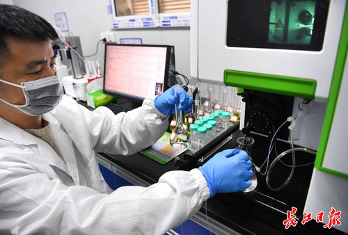 武漢中小企業(yè)借腦高校，以專精特新勁頭角逐信息技術(shù)賽道