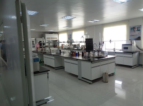 筑牢餐飲安全防線 飲食服務集團食品安全檢查月正式啟動